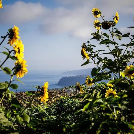 Finca Maranuela La Perdoma Εξωτερικό φωτογραφία
